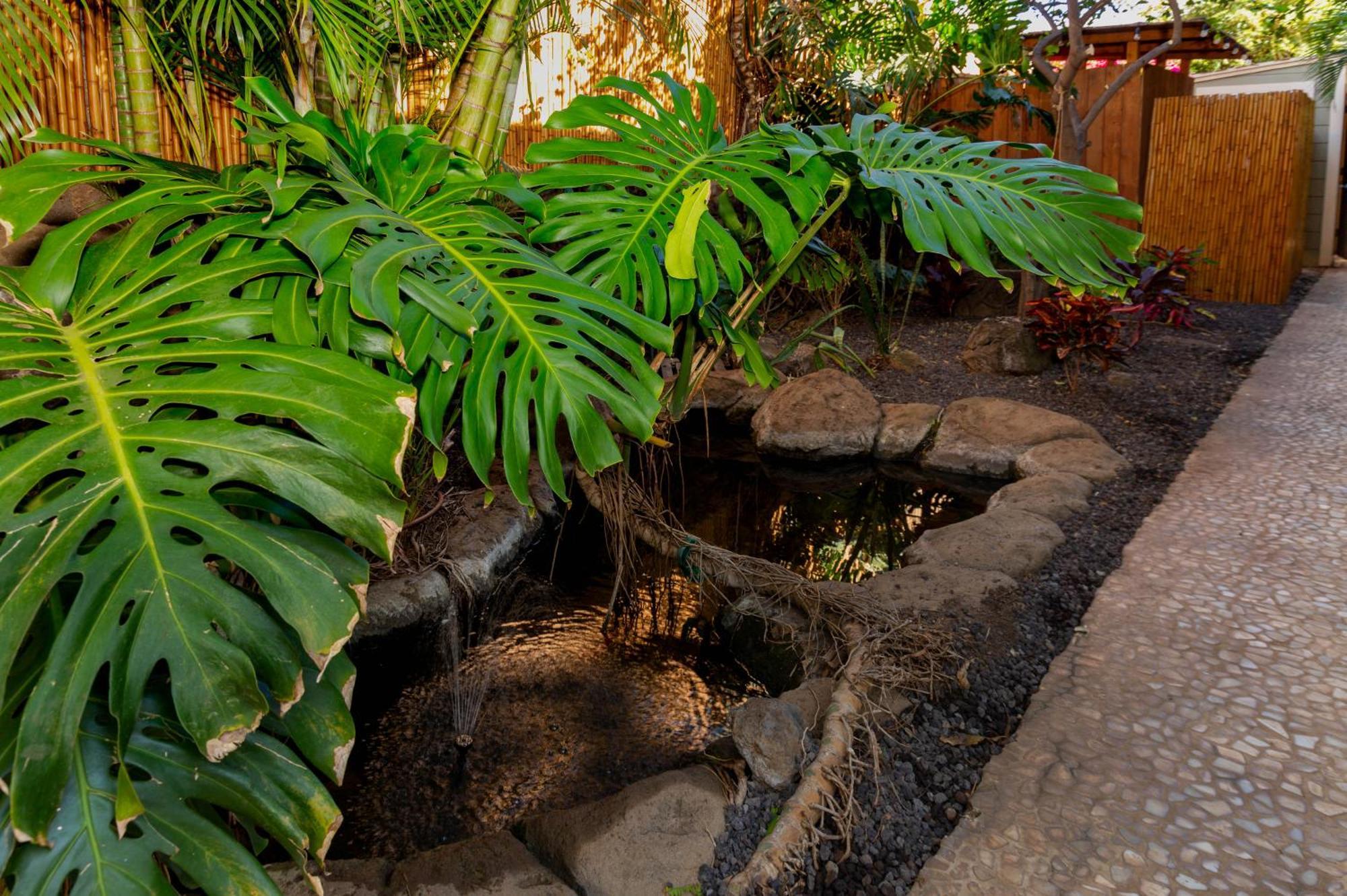 Bamboo Suite, 1 Bedroom, Sleeps 4, Pool & Bbq, Pre-Renovation Summer Sale Kihei Exterior photo